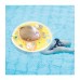 Nai-B Baby Neck Swim Tube - Yellow